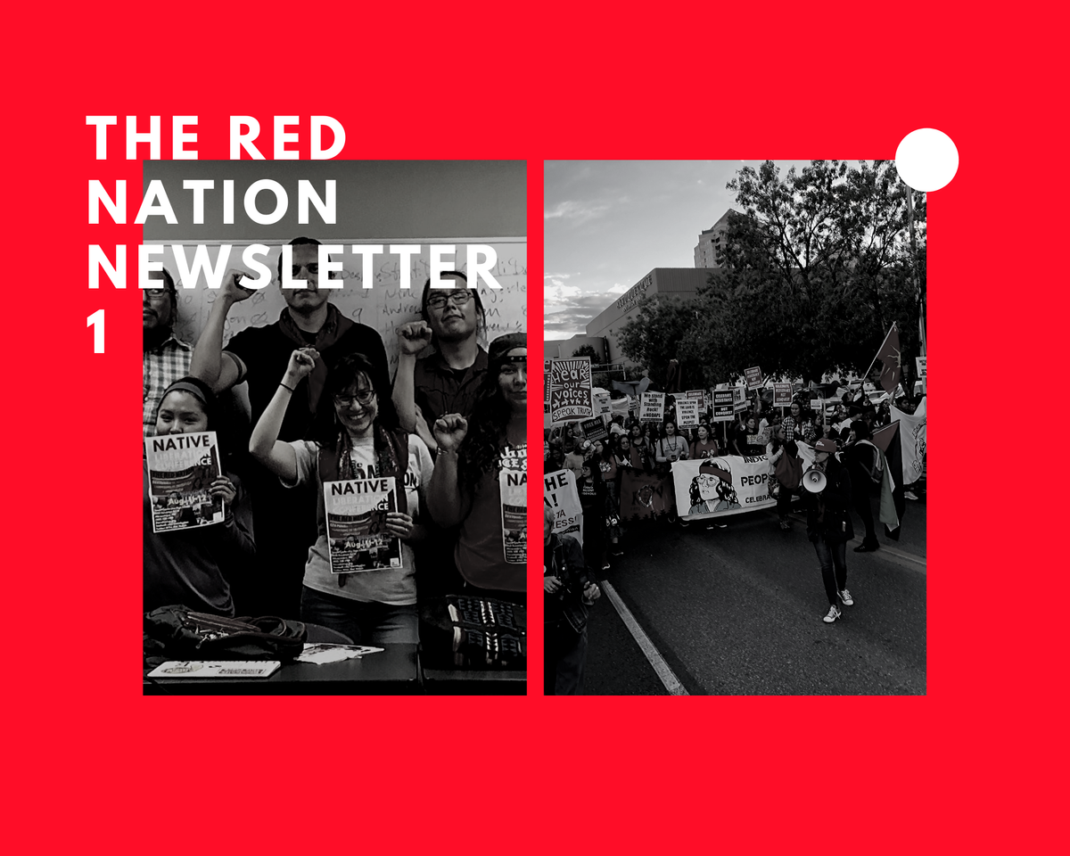 Newsletter 1: What We are into is Revolution