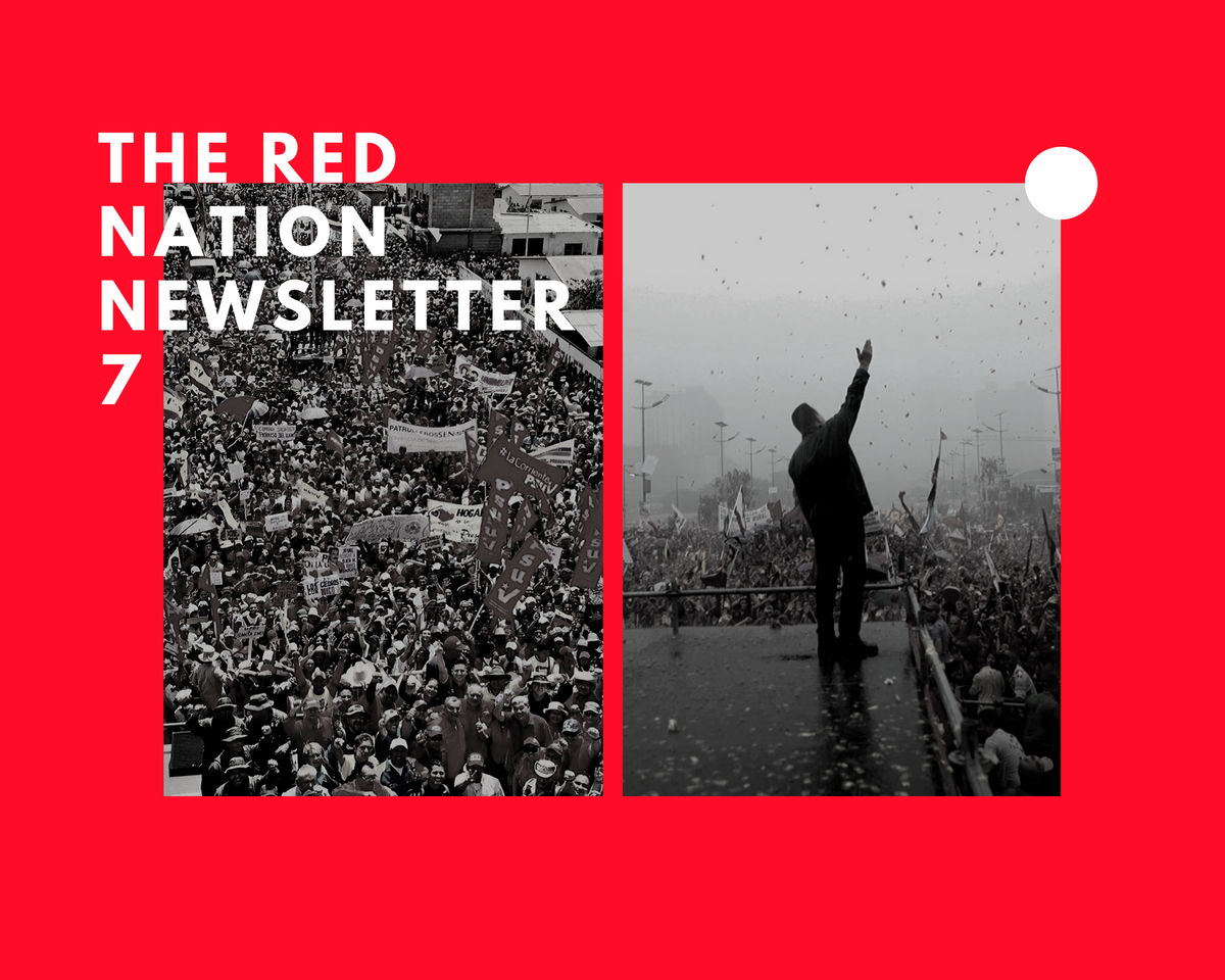 Newsletter 7: The Battle of Unity and Dignity