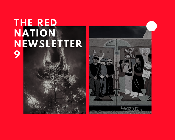 Newsletter 9: A Red Hot Summer